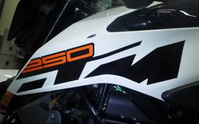 KTM 250 DUKE 2020