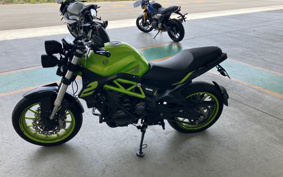 BENELLI TNT249S