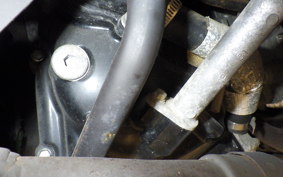 YAMAHA MAXAM 250 2006 SG21J