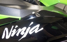 KAWASAKI NINJA 250 EX250Y