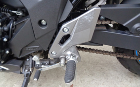 SUZUKI GSX250R DN11A