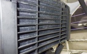 HONDA VT250FG 2022 MC15