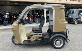 OTHER AP TRIKE 125