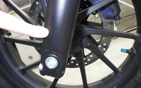 HONDA REBEL 250 A 2007 MC49