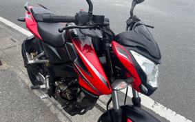 KAWASAKI  PULSAR 200NS A36FZ2