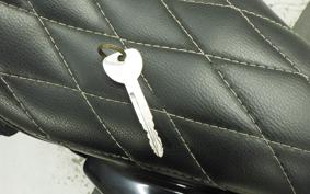 YAMAHA DRAGSTAR 250 VG02J