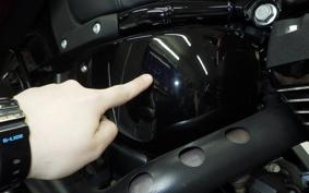 HARLEY FXLRST1920 2022