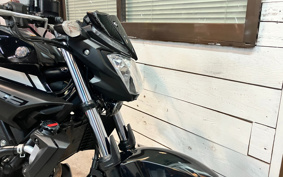 YAMAHA MT-03 2019 RH13J