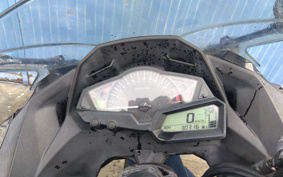 KAWASAKI NINJA 250 EX250L