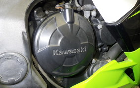 KAWASAKI NINJA 250 SL 2008 BX250A