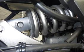 KAWASAKI NINJA 1000SX 2021 ZXT02K