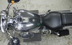 HARLEY FLSTFI1920 2025