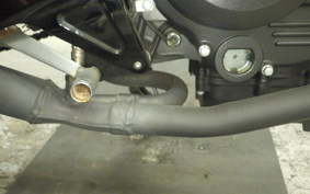 HONDA VTRF250 2019 MC33