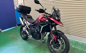 TRIUMPH  TRIUMPH  TIGER 900GT 2024 TRC81D
