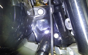 HARLEY FLSB 1750 2021