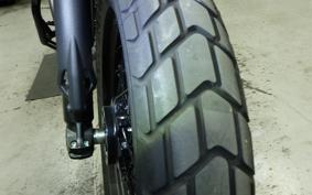 DUCATI SCRAMBLER 2024