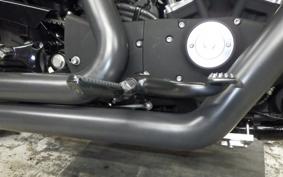HARLEY XL883N 2010