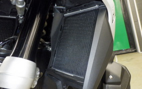 BMW R1300GS ASA 2025
