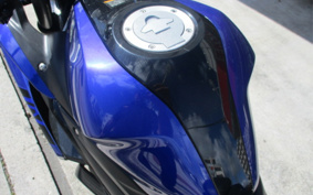 YAMAHA YZF-R25 RG43J