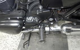 KAWASAKI W800 CAFE 2021