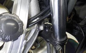 SUZUKI RG250 Gamma 2016 GJ21B