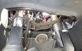 KAWASAKI NINJA 250 ABS EX250L