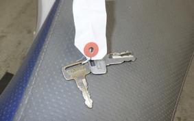 YAMAHA TT250R RAID 4GY