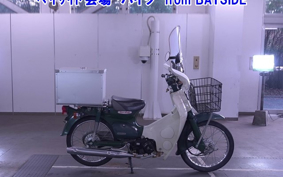 OTHER C50-FI