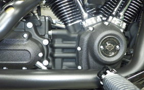 HARLEY FXLRST1920 2025