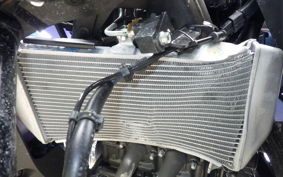 YAMAHA YZF-R25 A RG95J