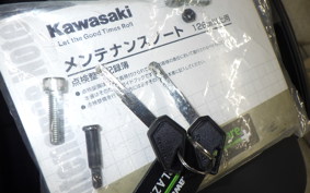 KAWASAKI VERSYS A 2024 LE650H