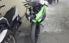 KAWASAKI NINJA 250 EX250P
