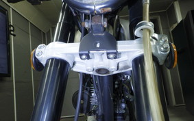 OTHER +UNREGISTERED MODEL by BDS125 2025