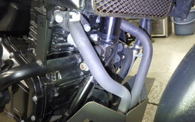 SUZUKI Vｽﾄﾛｰﾑ250A 2024