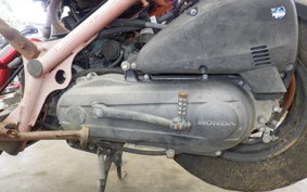 HONDA ZOOMER AF58