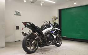 SUZUKI GSX-R1000 2010
