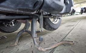 YAMAHA JOG POCHE SA08J