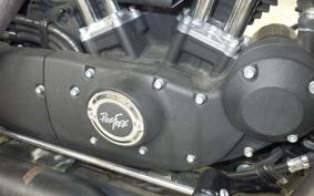 HARLEY XL1200NS 2019