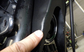 KAWASAKI Z1000 2025 Z1F