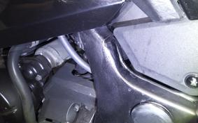 KAWASAKI NINJA 250 2025 EX250L