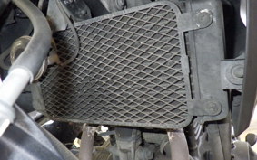 SUZUKI Vｽﾄﾛｰﾑ250 1990