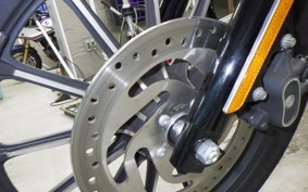 HARLEY XL883N 2015