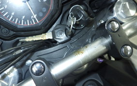 YAMAHA MT-25 RG43J