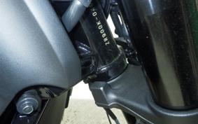 KAWASAKI Z900RS 2025 ZR900K