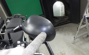 TRIUMPH TIGER 900 RALLY PRO 2022