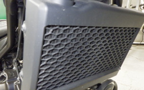 HONDA REBEL 250 S MC49