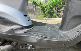 YAMAHA AKUSHI STREET SE53J