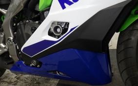 KAWASAKI ZX-4RR 2024 ZX400P