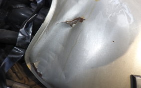 YAMAHA XJR1200 1994 4KG