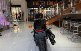 HARLEY FXST1340-1450 2020 BVJ
